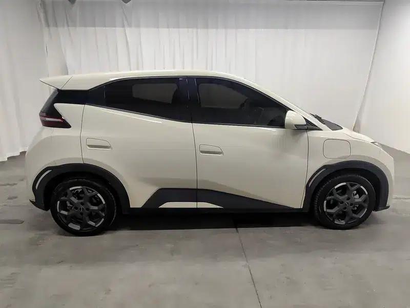 Seagull 2025 305KM Freedom Edition — миниатюра 8