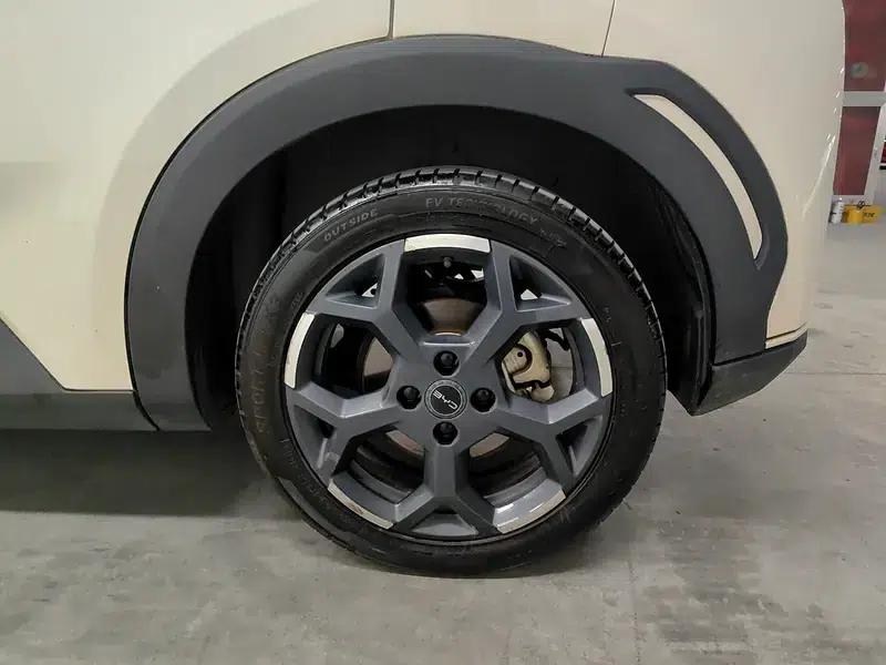 Seagull 2025 305KM Freedom Edition — миниатюра 9