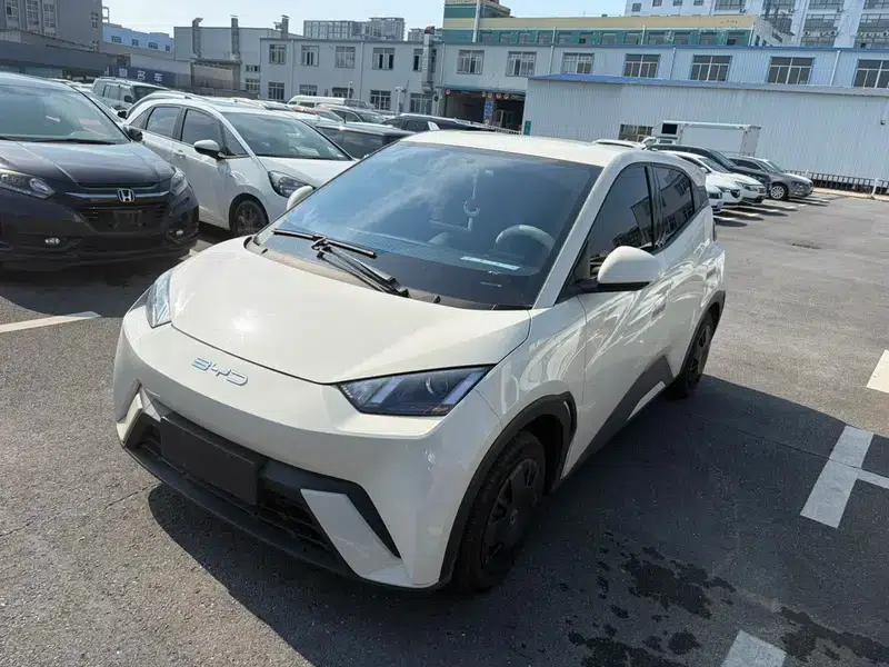Seagull 2023 Vitality Edition — миниатюра 1