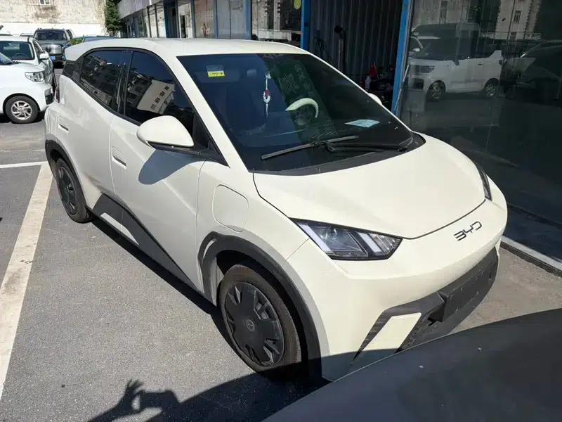 Seagull 2023 Vitality Edition — миниатюра 2