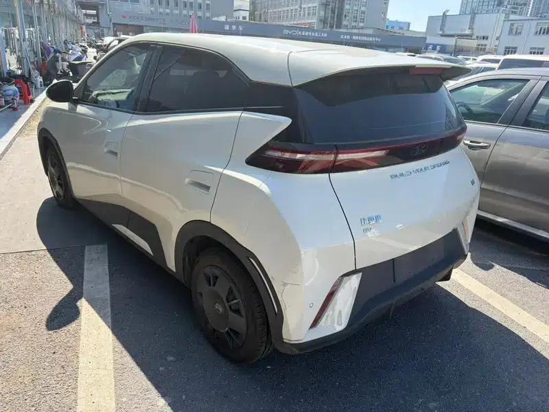 Seagull 2023 Vitality Edition — миниатюра 3