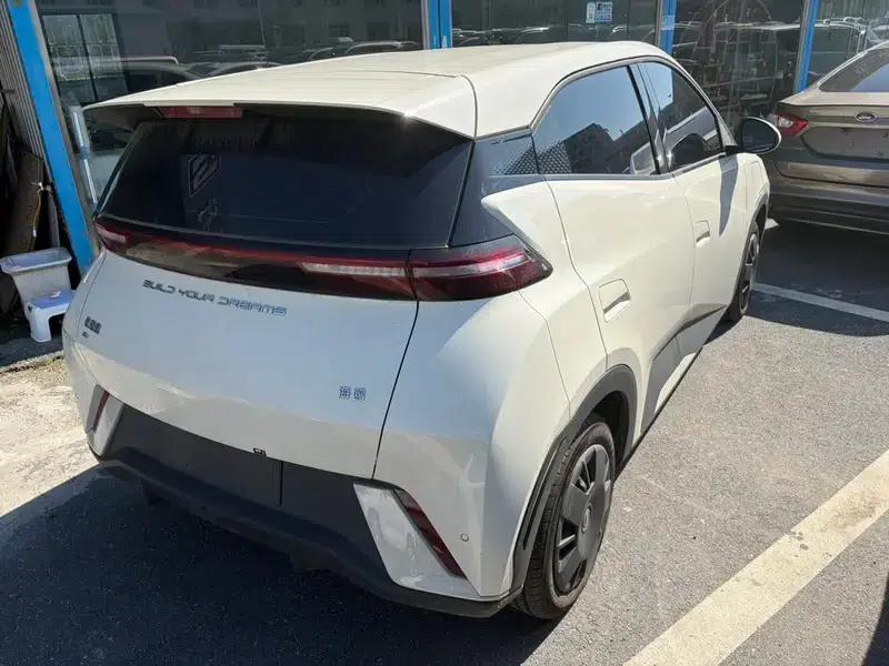 Seagull 2023 Vitality Edition — миниатюра 5
