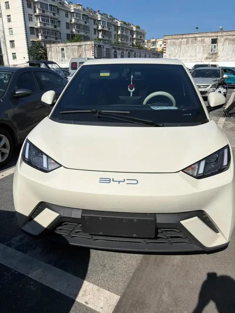 Seagull 2023 Vitality Edition — миниатюра 6