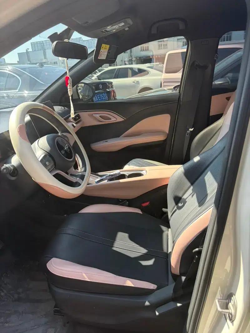 Seagull 2023 Vitality Edition — миниатюра 8