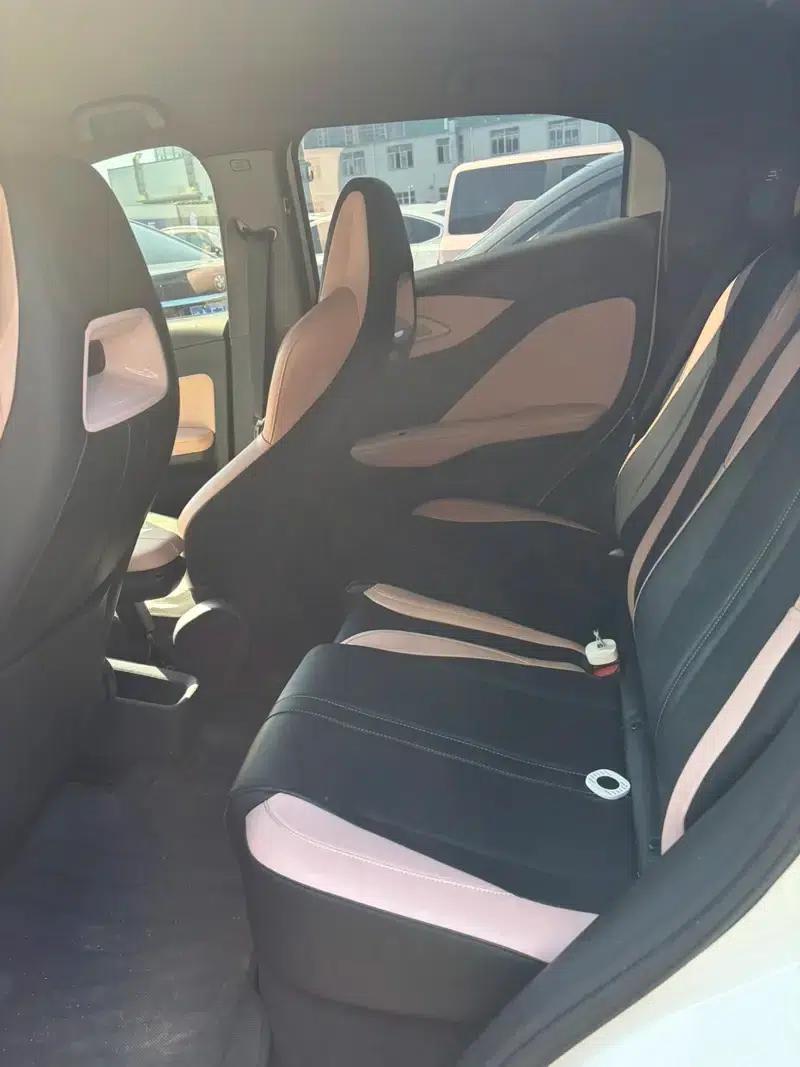 Seagull 2023 Vitality Edition — миниатюра 9