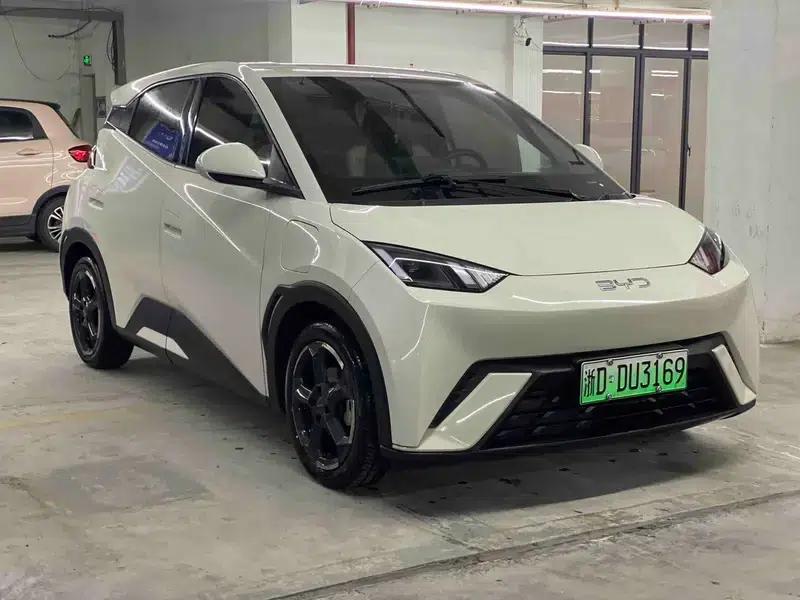 Seagull 2024 Glory Edition 305KM Vitality Edition — миниатюра 3