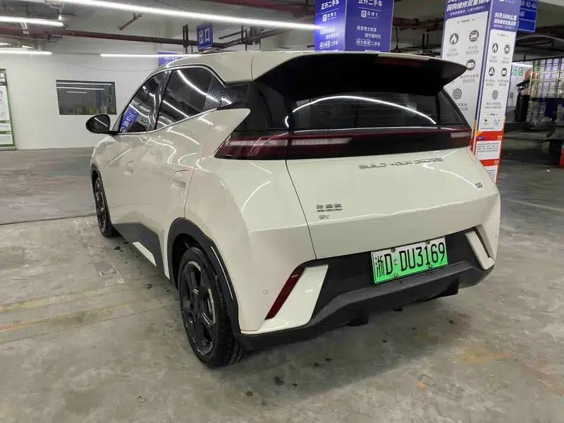 Seagull 2024 Glory Edition 305KM Vitality Edition — миниатюра 4