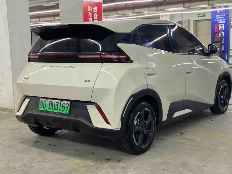 Seagull 2024 Glory Edition 305KM Vitality Edition — миниатюра 5