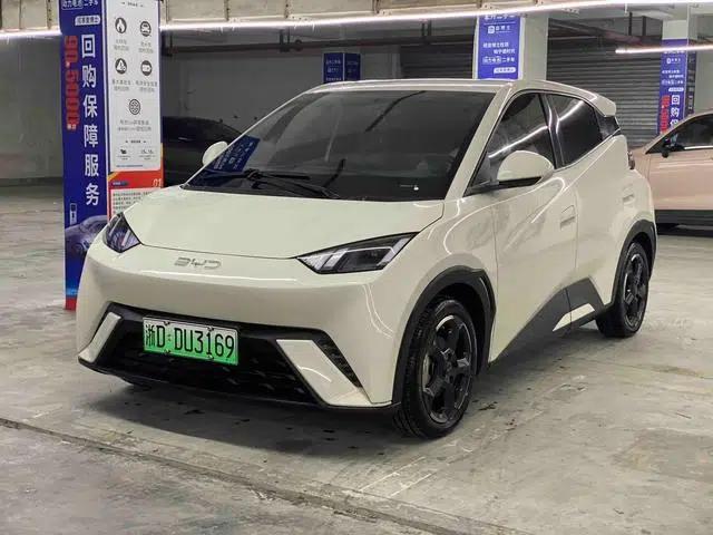 Seagull 2024 Glory Edition 305KM Vitality Edition
