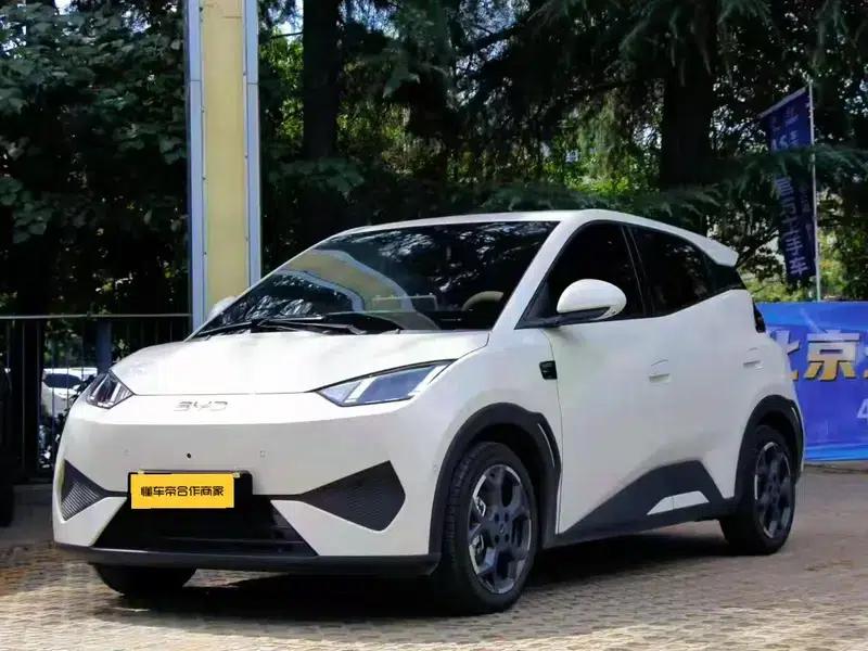 Seagull 2025 Smart Driving Edition 305KM Vitality Edition — миниатюра 1