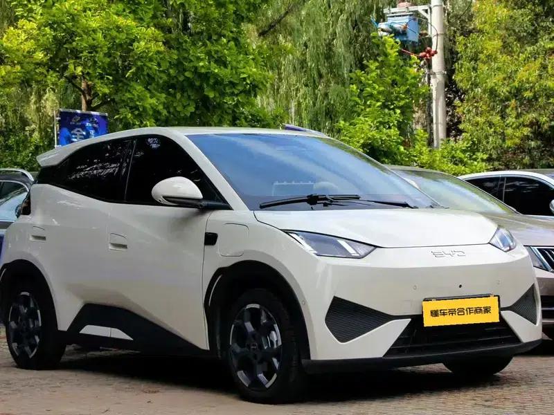 Seagull 2025 Smart Driving Edition 305KM Vitality Edition — миниатюра 3