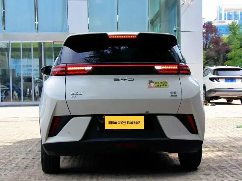 Seagull 2025 Smart Driving Edition 305KM Vitality Edition — миниатюра 5
