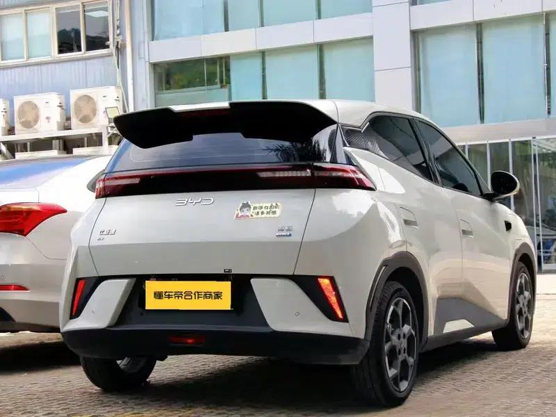 Seagull 2025 Smart Driving Edition 305KM Vitality Edition — миниатюра 6