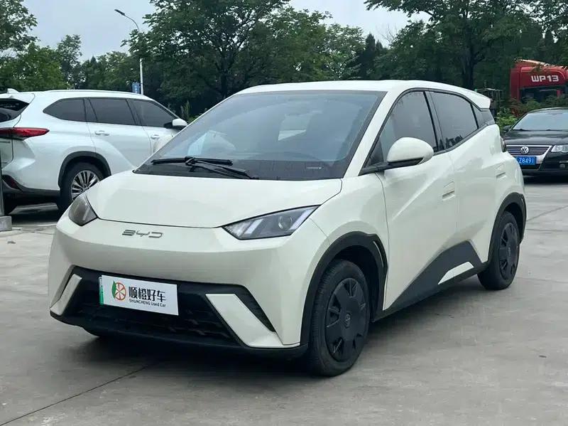 Seagull 2023 Vitality Edition — миниатюра 1