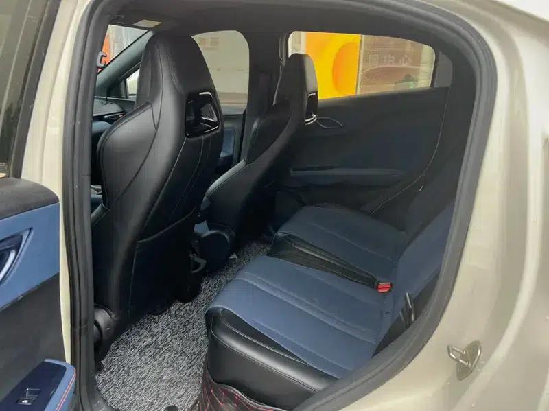 Seagull 2023 Vitality Edition — миниатюра 13