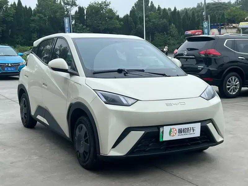Seagull 2023 Vitality Edition — миниатюра 3