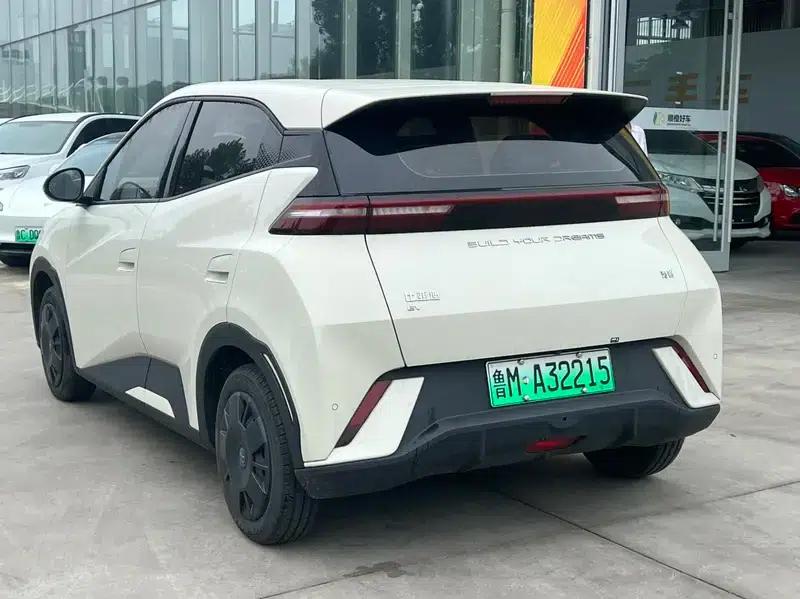 Seagull 2023 Vitality Edition — миниатюра 4