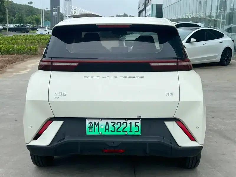 Seagull 2023 Vitality Edition — миниатюра 5