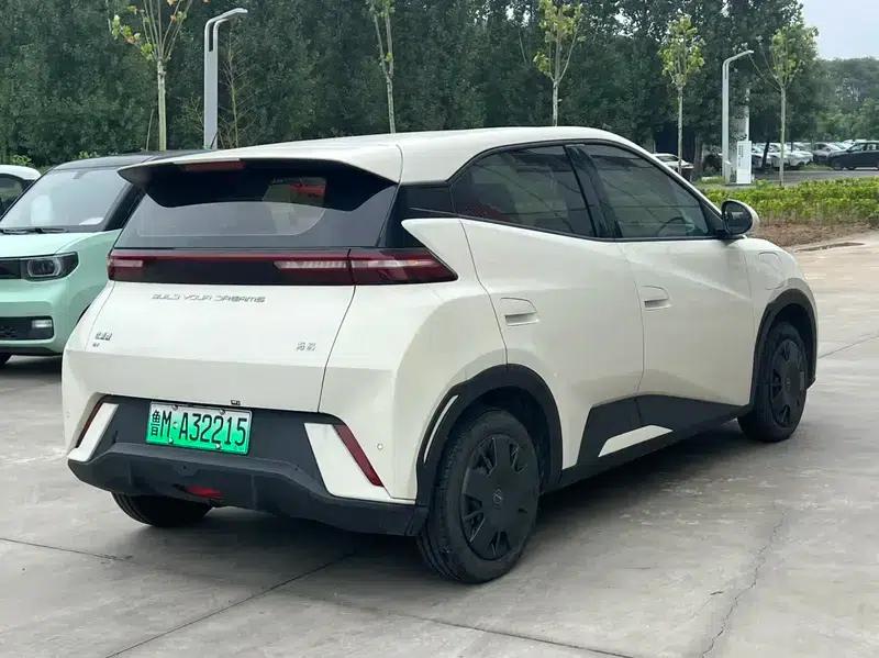 Seagull 2023 Vitality Edition — миниатюра 6