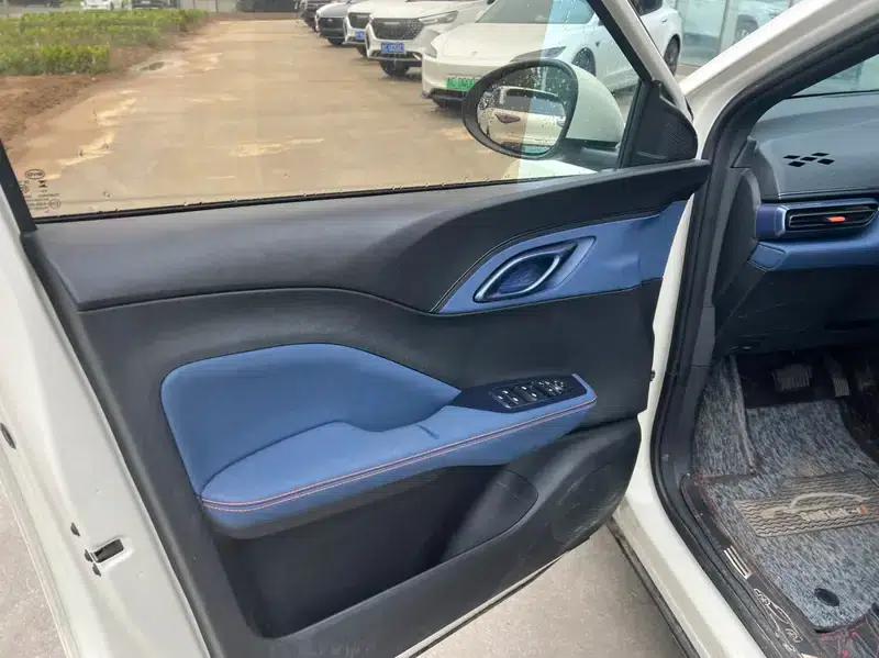 Seagull 2023 Vitality Edition — миниатюра 8