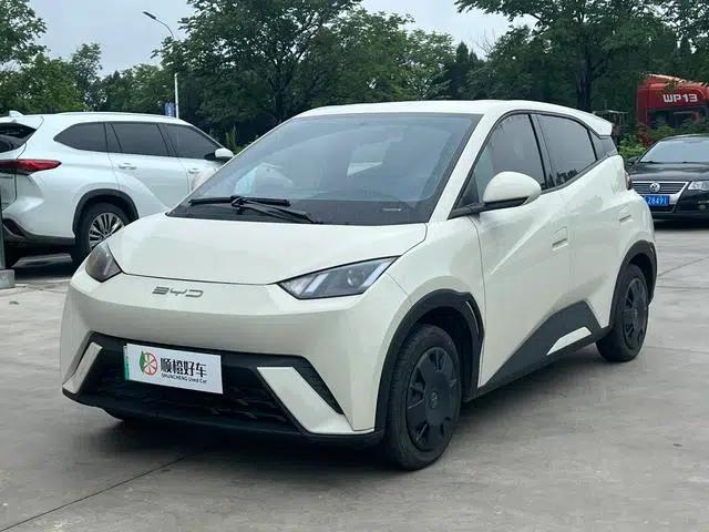 Seagull 2023 Vitality Edition