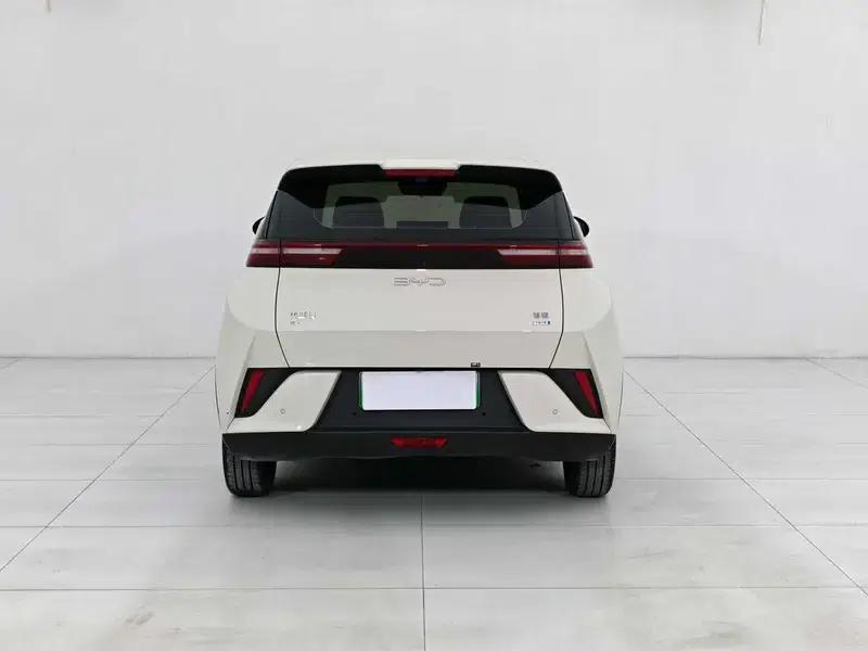 Seagull 2025 405KM Flying Edition — миниатюра 5