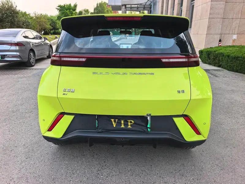Seagull 2024 Glory Edition 305KM Vitality Edition — миниатюра 5