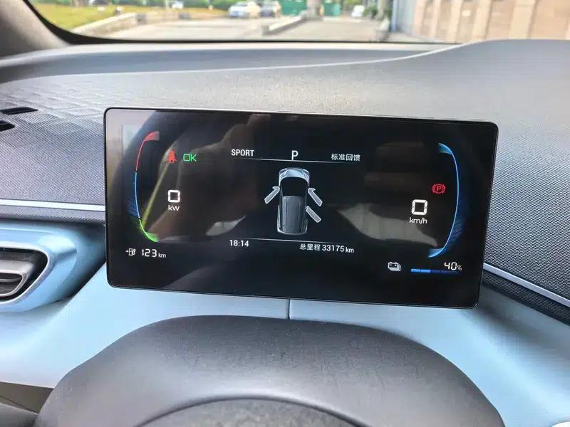 Seagull 2024 Glory Edition 305KM Vitality Edition — миниатюра 10