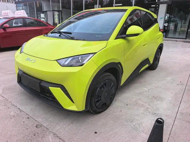 Seagull 2024 Glory Edition 305KM Vitality Edition