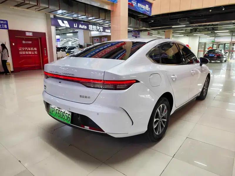 Destroyer 05 2024 Glory Edition DM-i 55KM Luxury Model — миниатюра 6