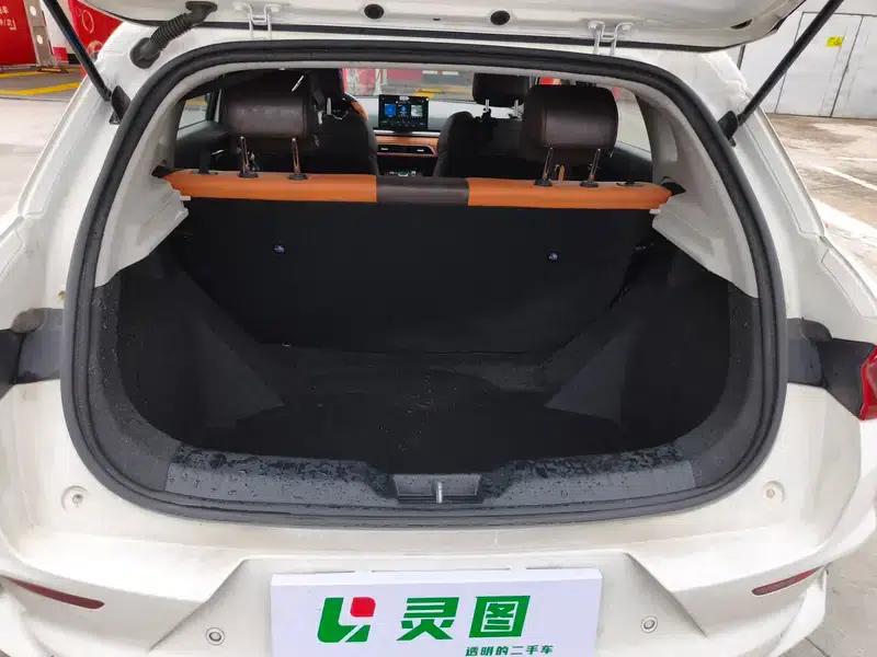 BYD e2 2021 Luxury Edition — миниатюра 33