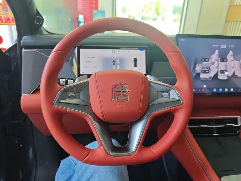 Tang L DM 2025 DM-p 175KM 4WD Drone Player Edition — миниатюра 12