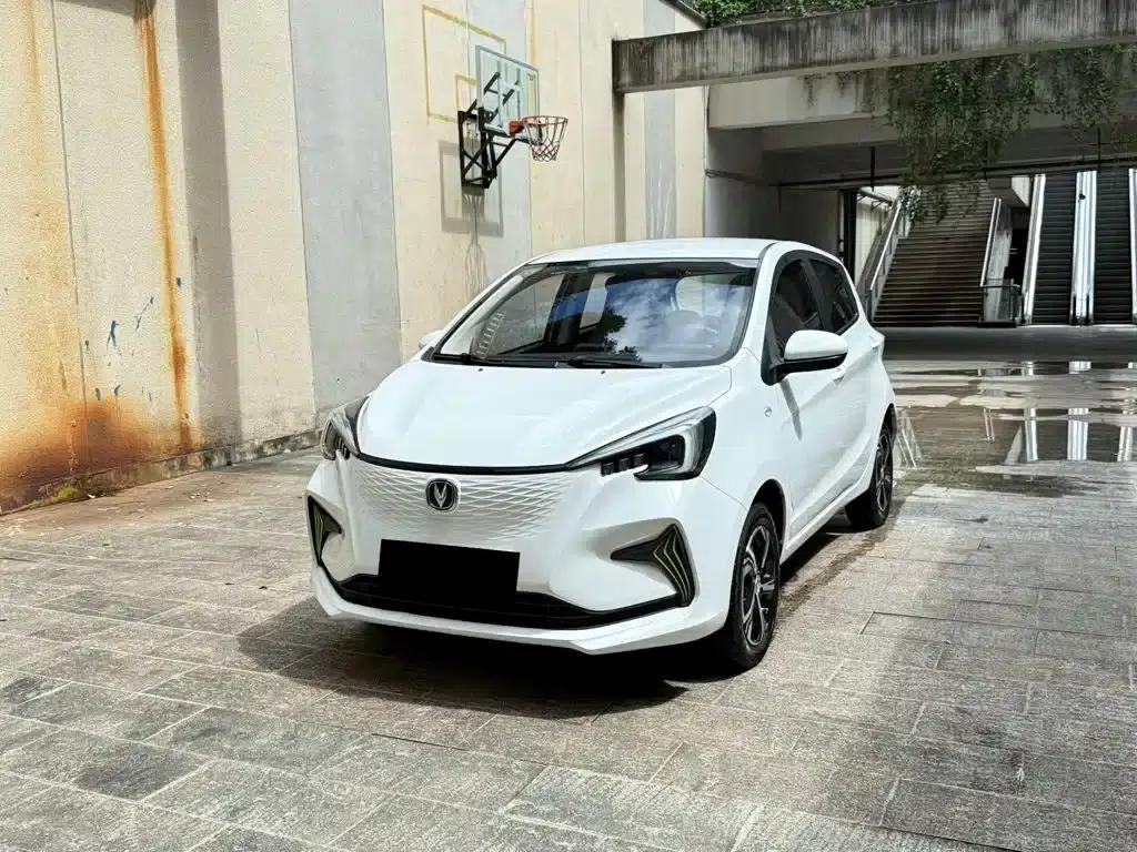 Changan Benben E-Star 2020 Heartbeat Edition Ternary Lithium Lithium — миниатюра 1