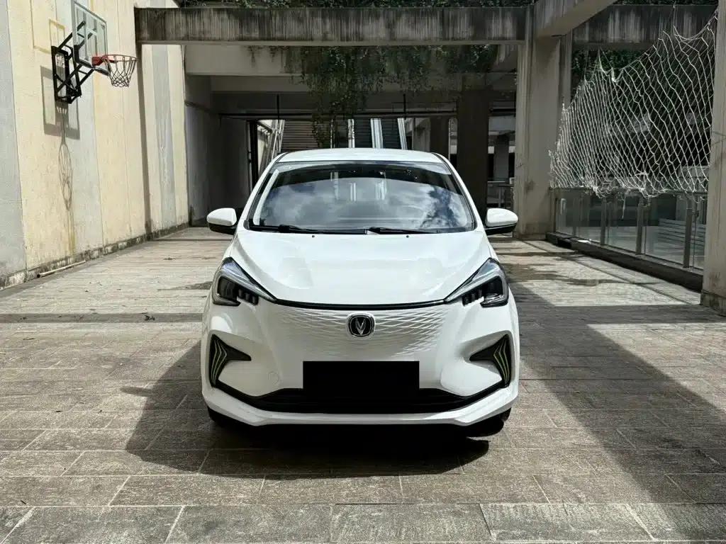 Changan Benben E-Star 2020 Heartbeat Edition Ternary Lithium Lithium — миниатюра 2