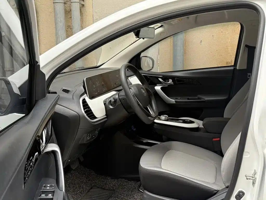 Changan Benben E-Star 2020 Heartbeat Edition Ternary Lithium Lithium — миниатюра 5