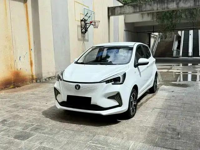 Changan Benben E-Star 2020 Heartbeat Edition Ternary Lithium Lithium