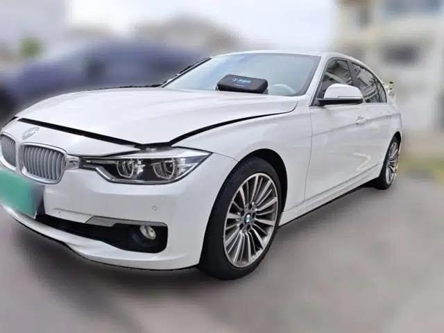 BMW 3 Series 2019 320Li Fashion Model