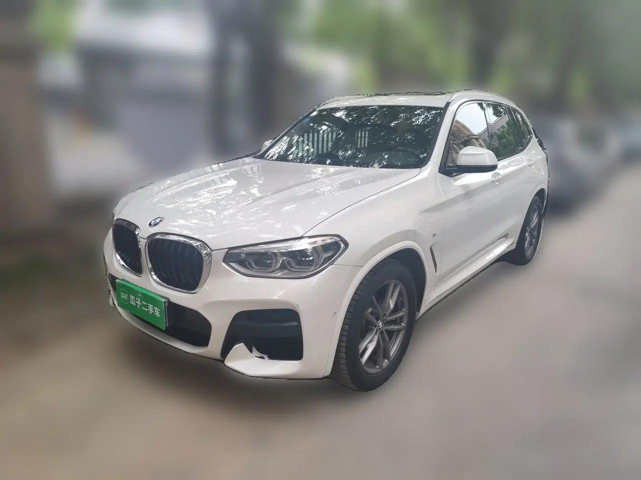 BMW X3 2019 xDrive25i M Sport Package — миниатюра 1