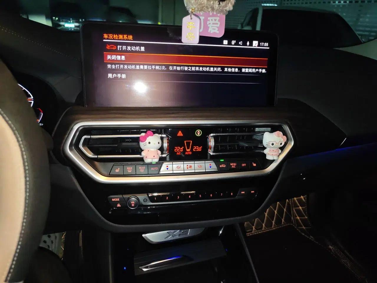 BMW X3 2023 xDrive30i Leading Model M Night Edition Package — миниатюра 13