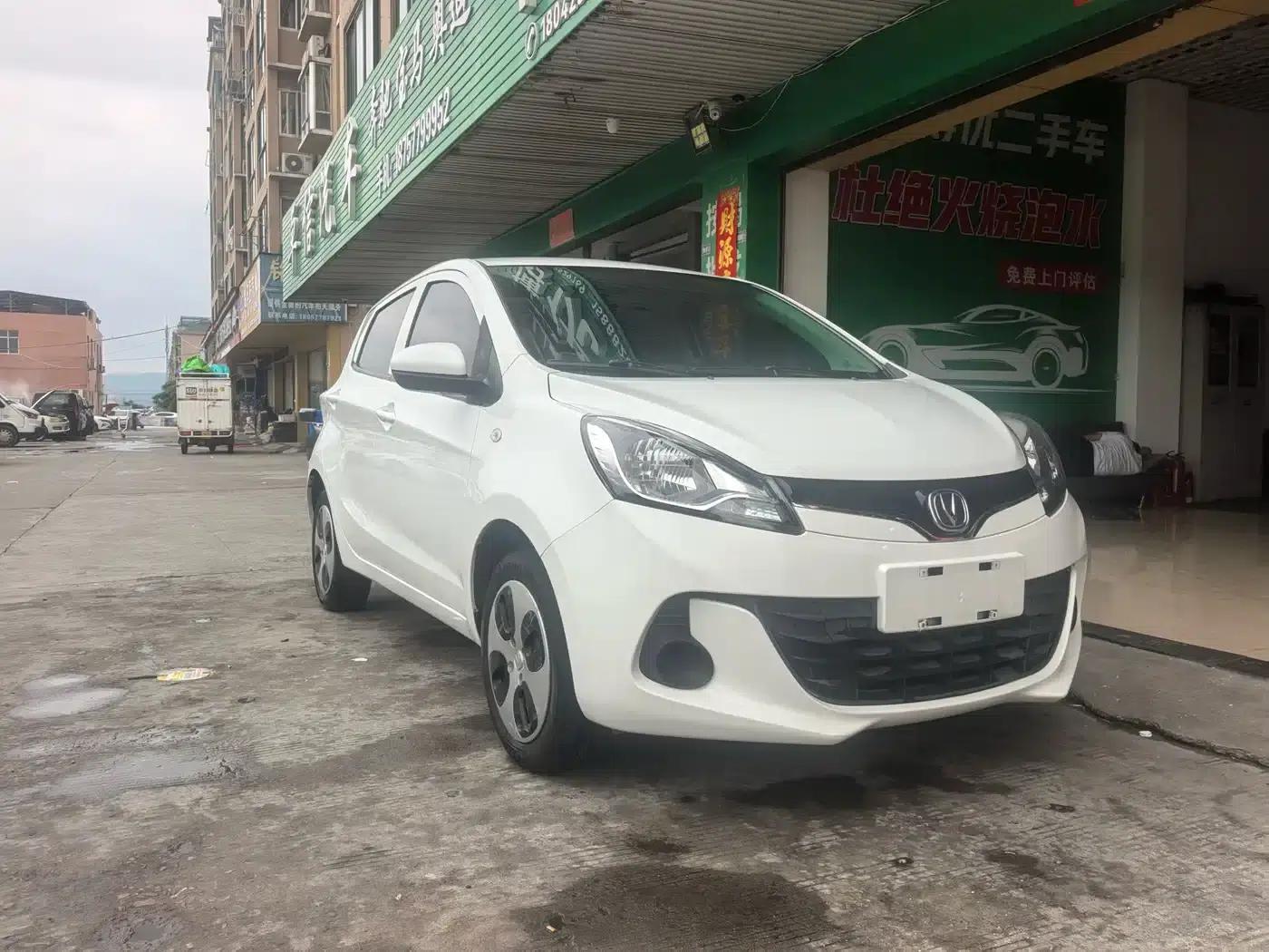 Benben EV 2019 Facelift EV360 Fashion Edition — миниатюра 3