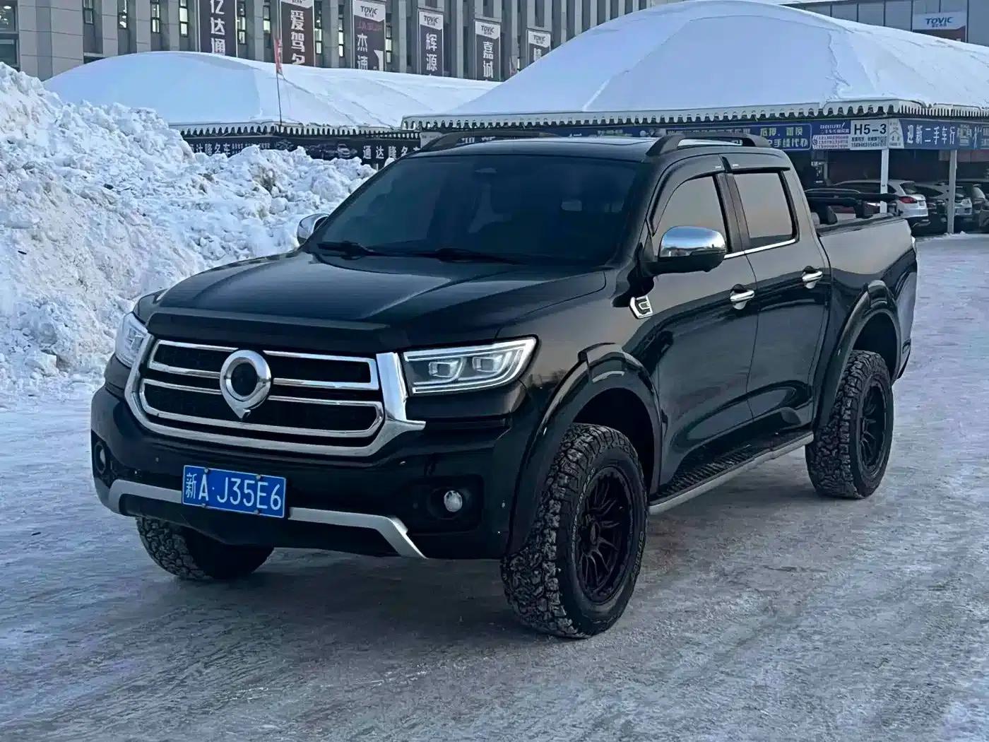 Cannon 2023 2.0T Passenger Version Automatic Gasoline 4WD Premium Edition GW4C20B — миниатюра 1