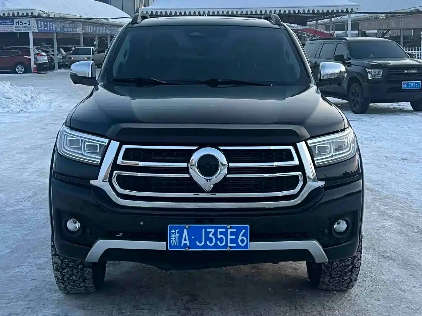 Cannon 2023 2.0T Passenger Version Automatic Gasoline 4WD Premium Edition GW4C20B — миниатюра 2