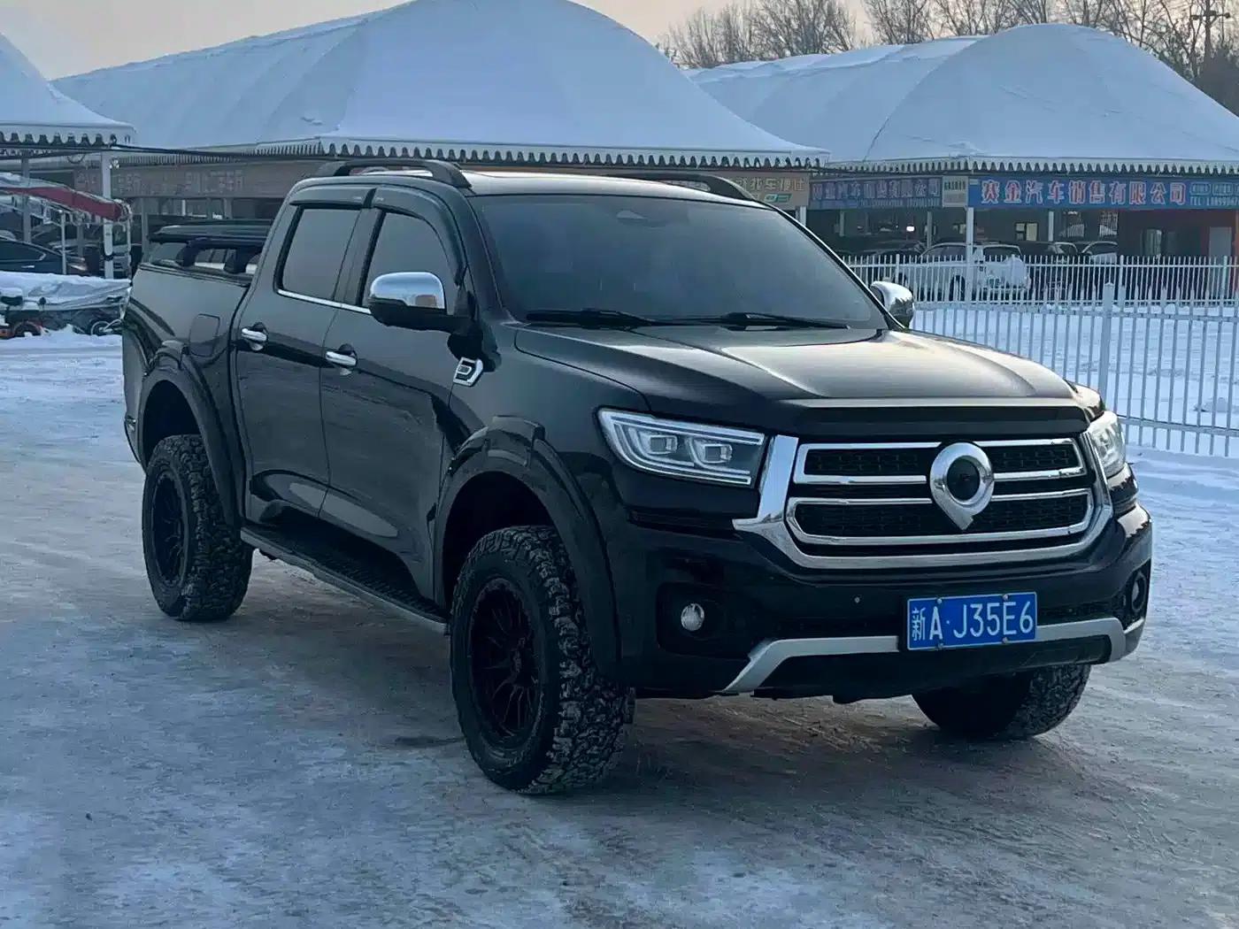 Cannon 2023 2.0T Passenger Version Automatic Gasoline 4WD Premium Edition GW4C20B — миниатюра 3