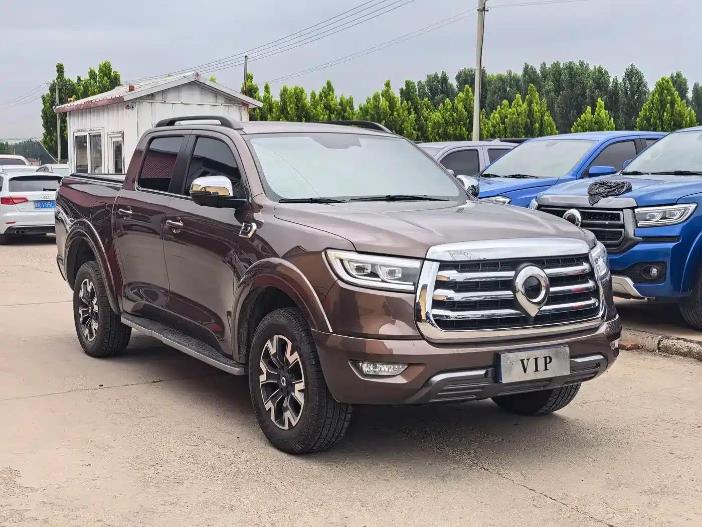 Cannon 2021 2.0T Passenger Global Edition Automatic Gasoline 4WD Sport Standard Box GW4C20B — миниатюра 4