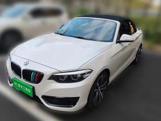 BMW 2 Series 2019 225i Convertible Coupe Sports Design Package