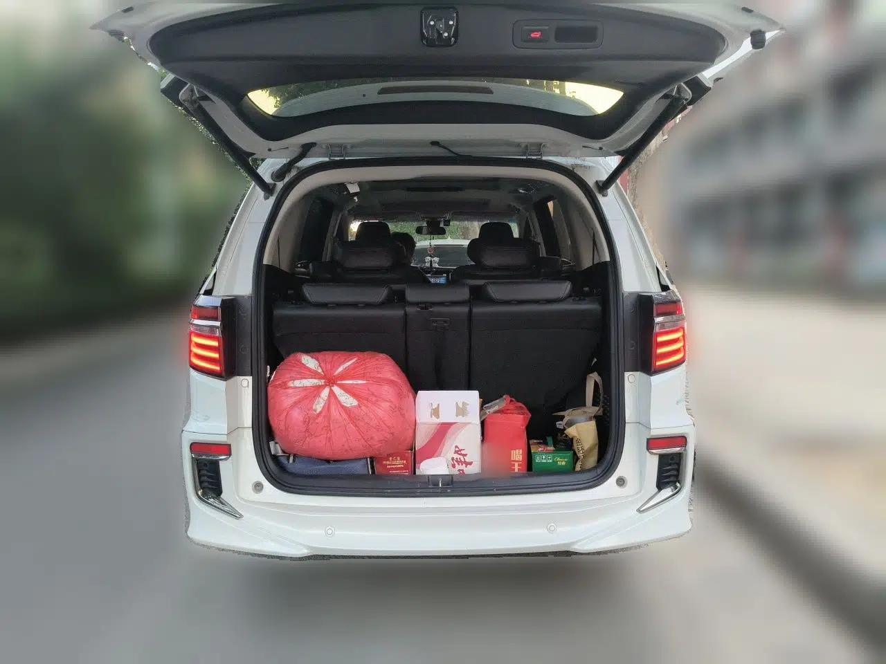 Honda Elysion 2019 2.0L Hybrid Luxury Edition — миниатюра 19