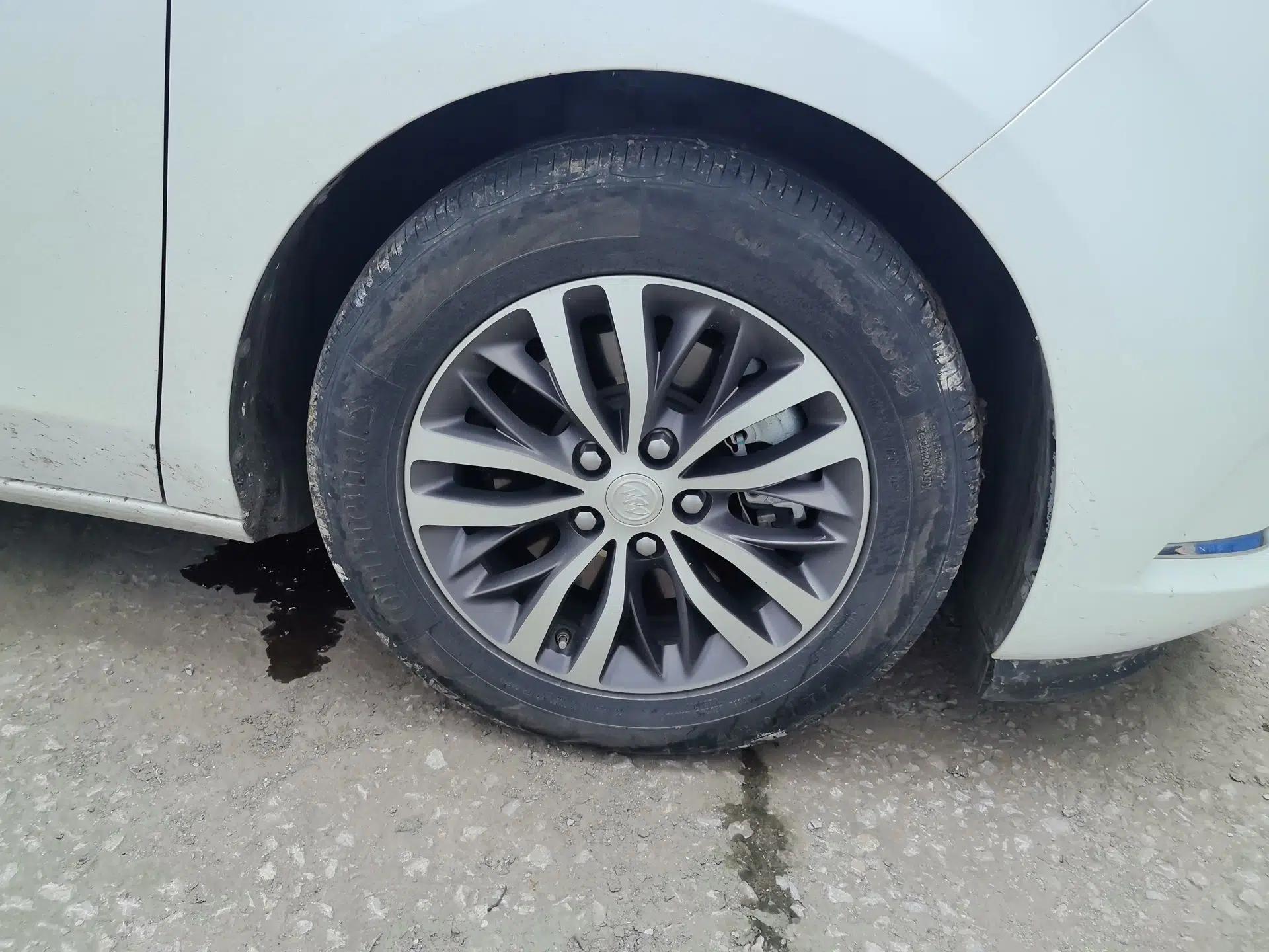 Buick GL8 2022 ES Landtrek 653T Comfort Edition — миниатюра 8
