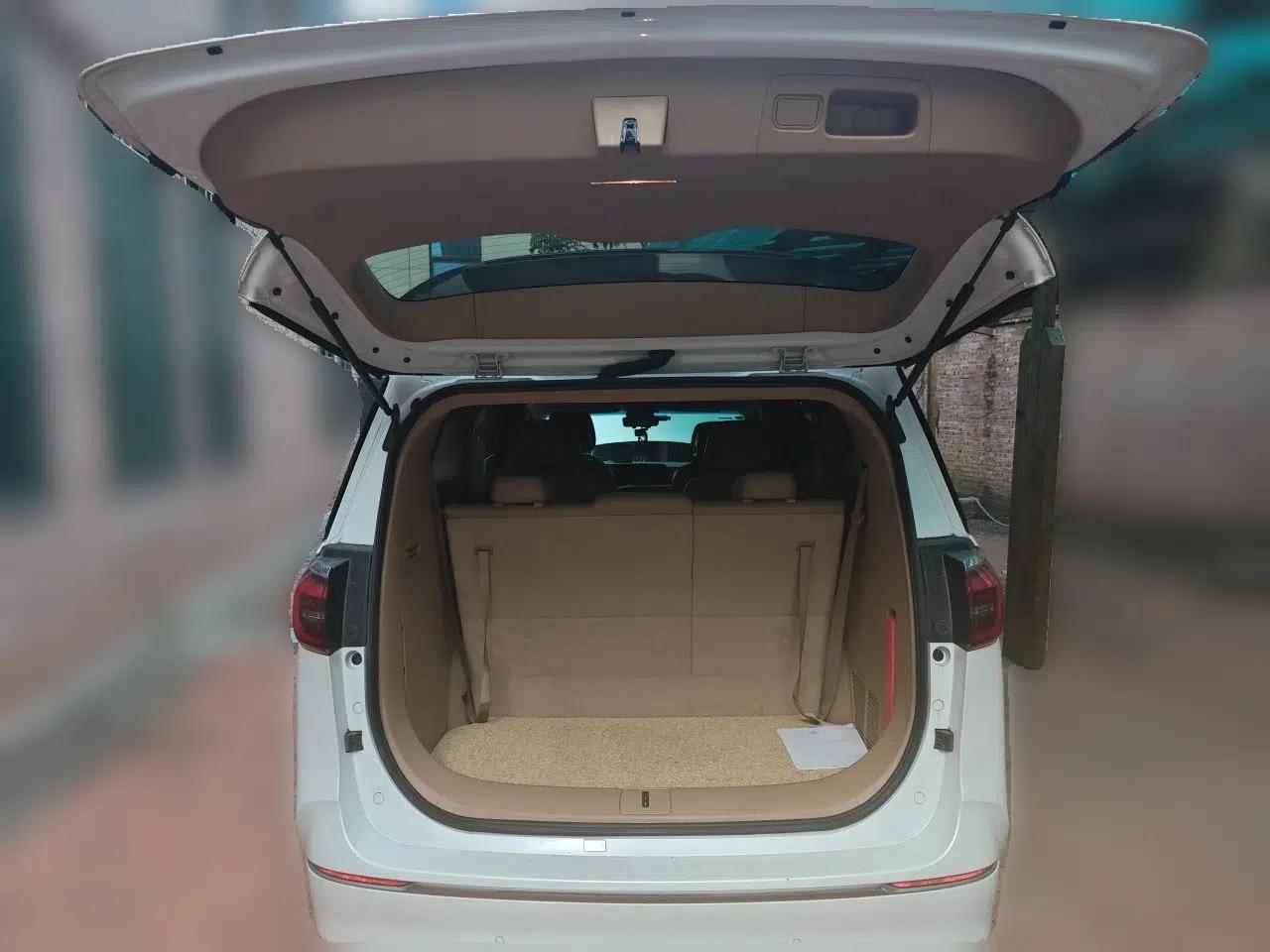 Buick GL8 2021 ES Land Cruiser 653T Luxury Edition — миниатюра 19