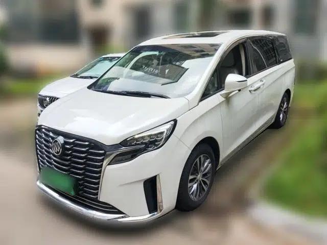 Buick GL8 2022 ES Landtrek 653T Comfort Edition