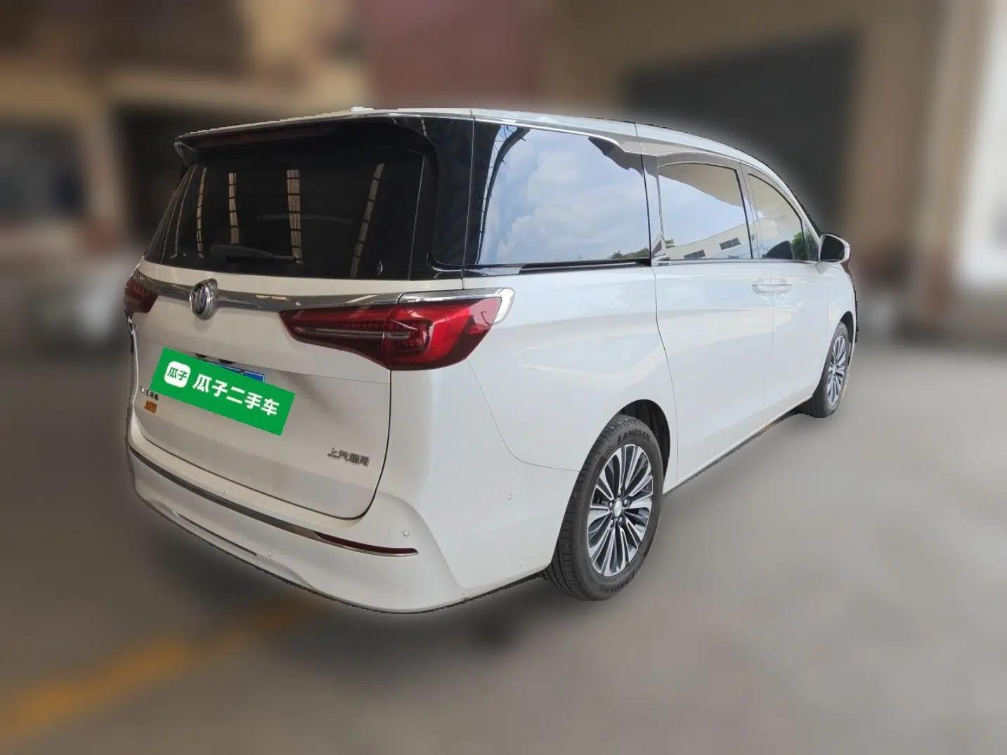 Buick GL8 2022 ES Land Cruiser 653T Luxury Model — миниатюра 6